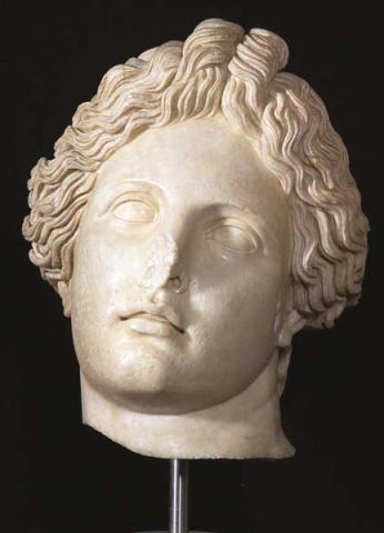 Testa di Apollo Liceo